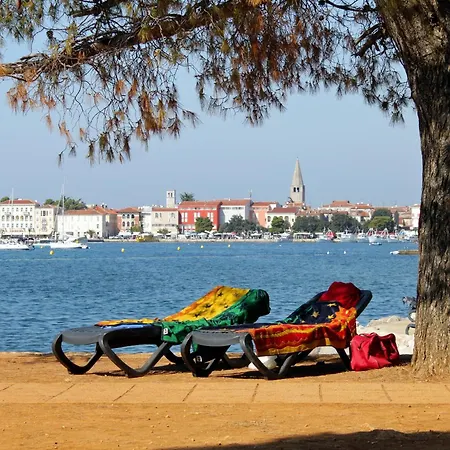 With Wifi - 24505 Appartamento *